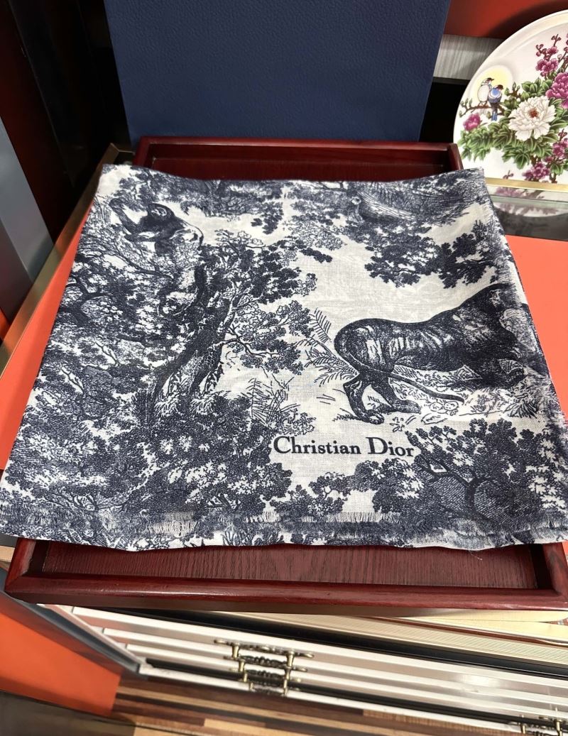 Christian Dior Scarf